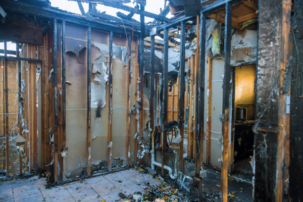 Professional Fire Damage Cleanup technician working in Skillman, NJ